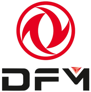 DFM